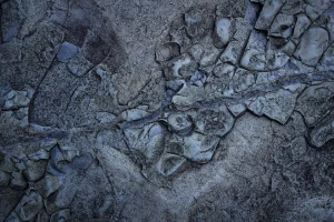 TEKNOLOGI DIGITAL DALAM EKSPLORASI COAL BED METHANE (CMB)